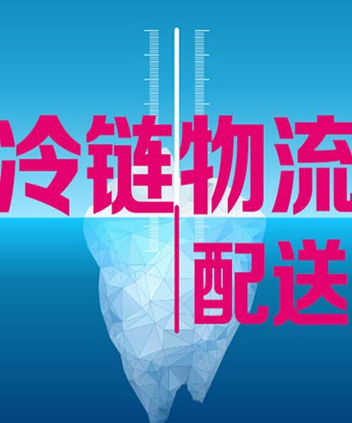 上海到天津冷藏物流公司 上海到天津冷鏈貨運專線 秋果供