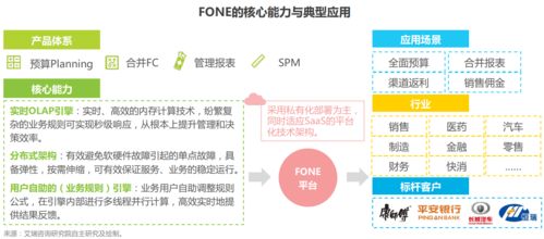 epm業財一體風頭漸起 ,fone如何突破財務數字化的邊界